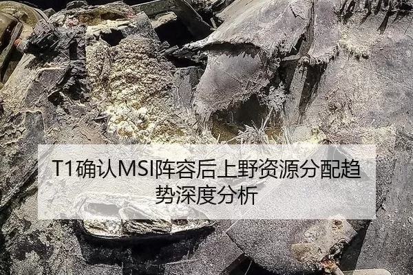 T1确认MSI阵容后上野资源分配趋势深度分析